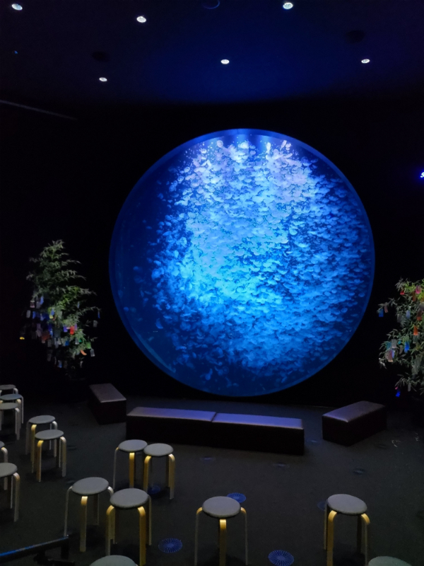 加茂水族館 クラゲ