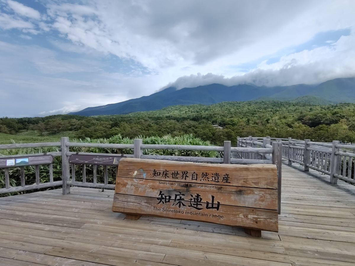 知床五湖　高架道その１