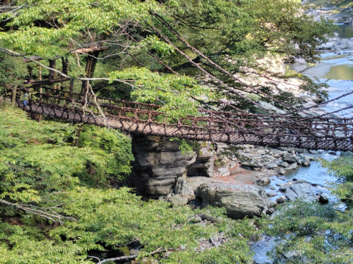 祖谷のかずら橋1