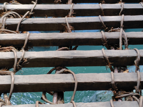 祖谷のかずら橋2