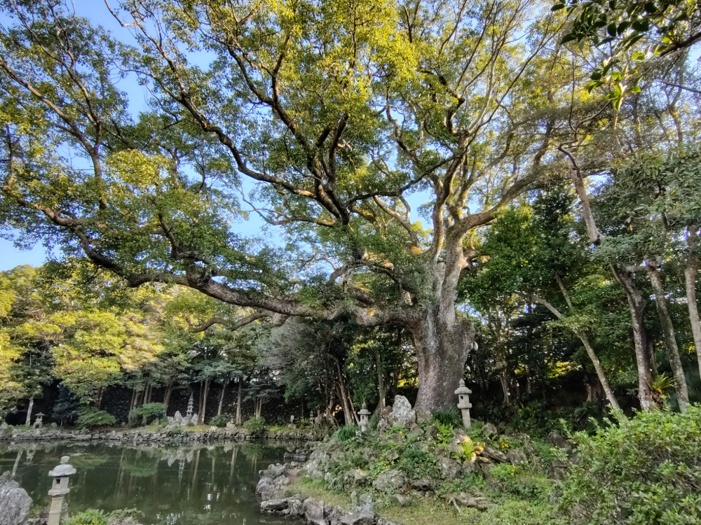 庭園
